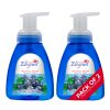 Blueberry Glaze Foaming Hand Wash
