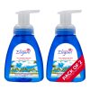 Sea Island Shore Foaming Hand Wash