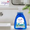 Sea Island Shore Foaming Hand Wash - Image 2