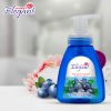 Blueberry Glaze Foaming Hand Wash - Image 2